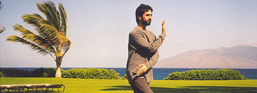 The Difference Between T’ai Chi and Qigong